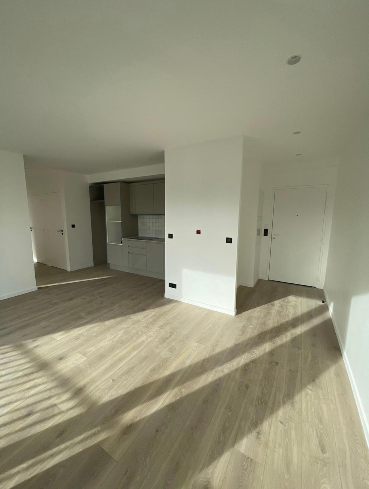 Vue générale d’un appartement rénové avec peinture et nouveau revêtement de sol